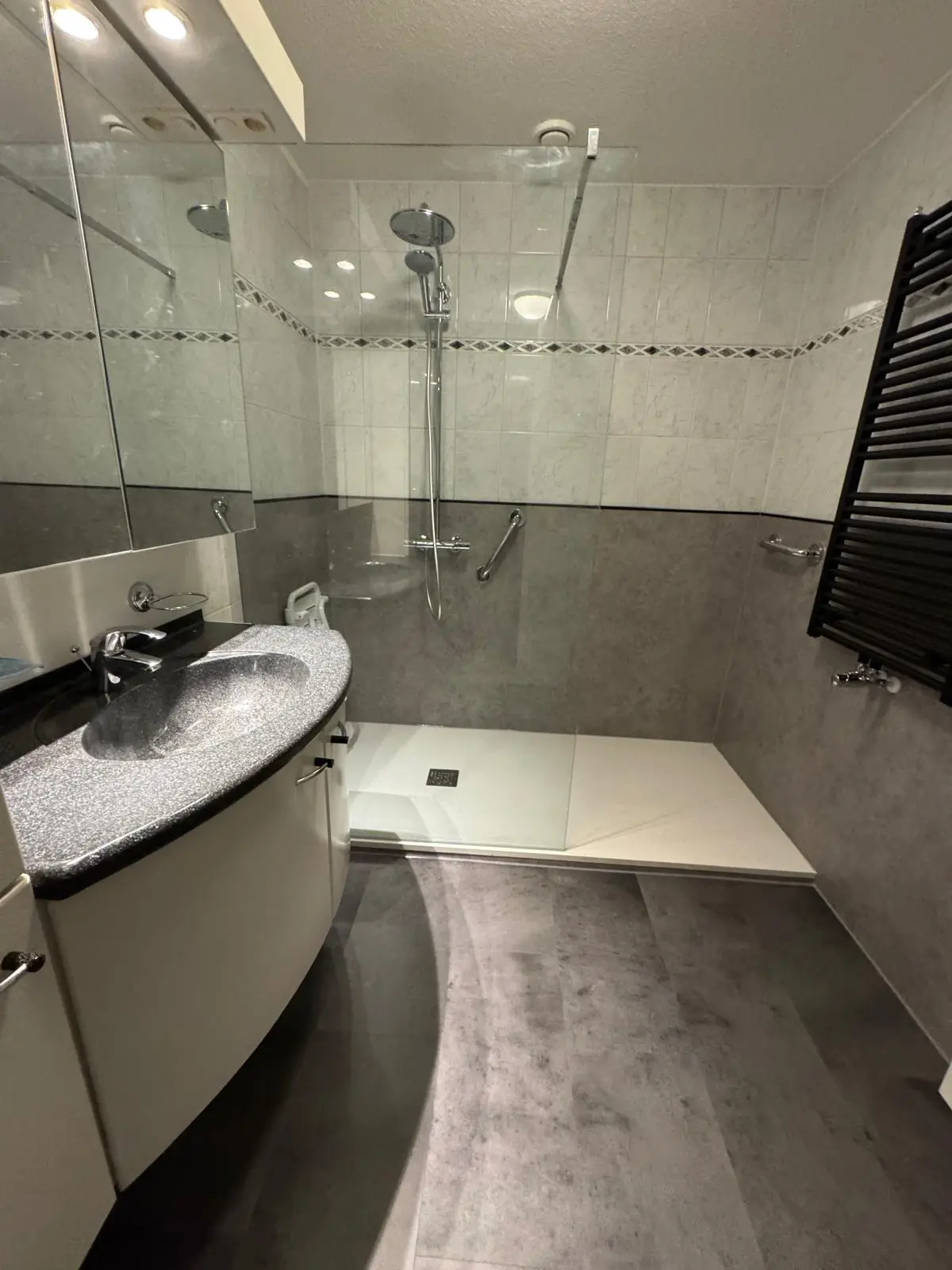 Gerennoveerde badkamer met inloopdouche, wandbeugels, moderne wastafel en donkere vloer. Ideaal voor senioren.